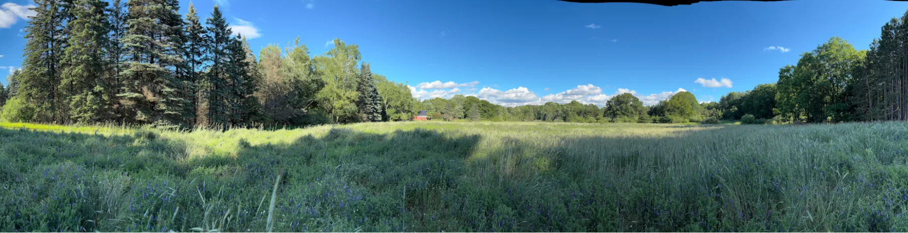 Wide panoramic view across an open field and tree line