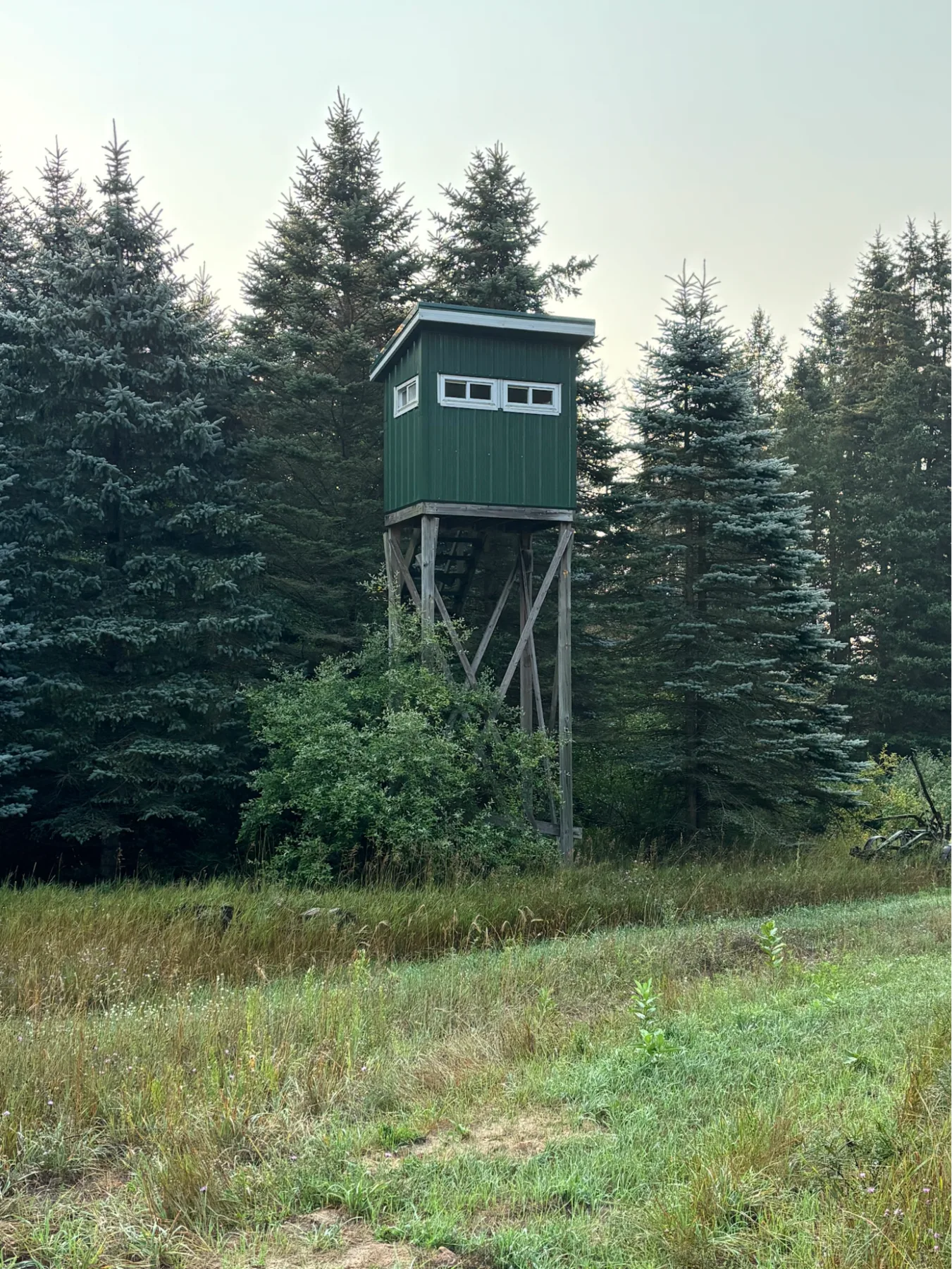 Elevated hunting blind at the edge of a field